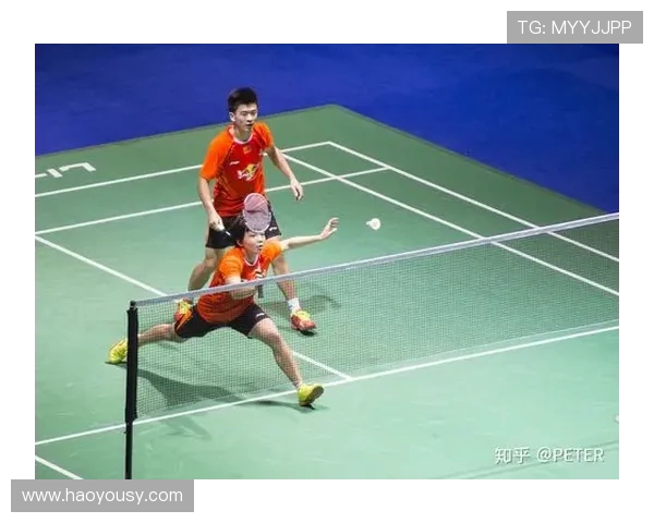 北京羽毛球队在挑战赛中的战术分析与表现评估